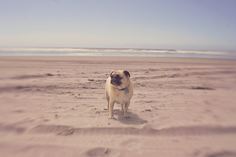 005 700_2967-Edit WEB