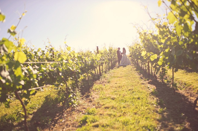 013 700_4905-Edit WEB