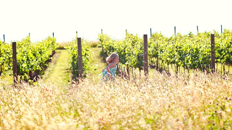 019 700_5040-Edit WEB