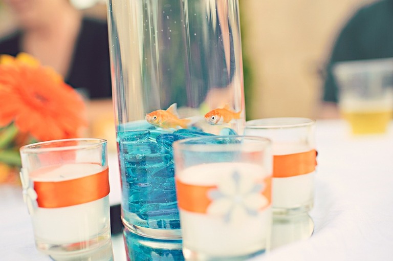 035 700_5626-Edit WEB