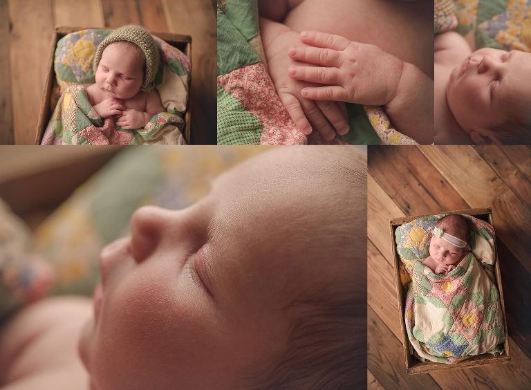 portland newborn photographers .jpg