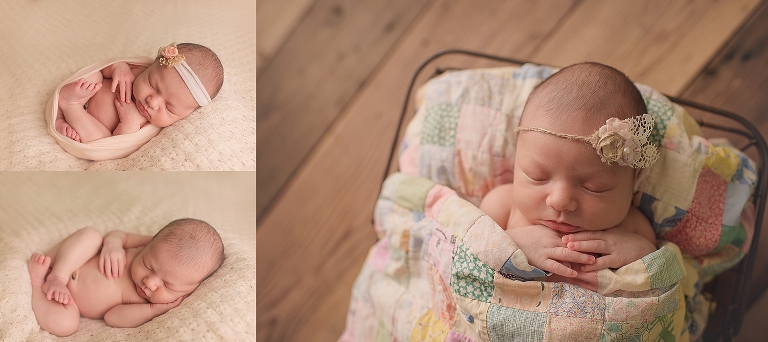 Portland newborn photographers.jpg