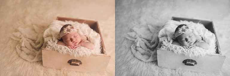 Ridgefield WA photographers.jpg