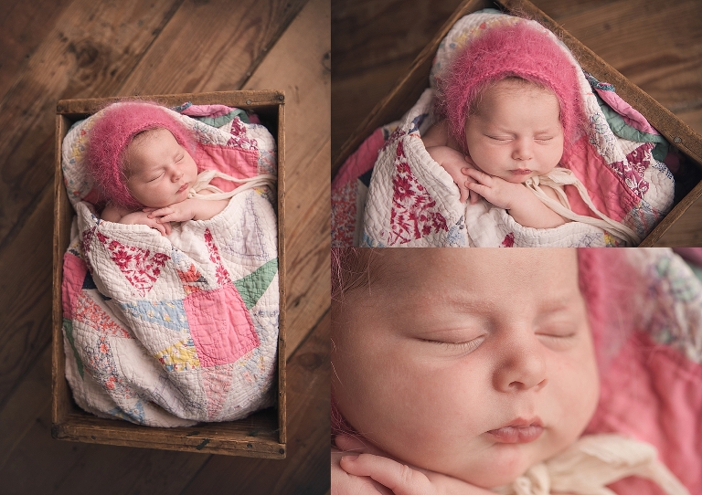 newborn photographers