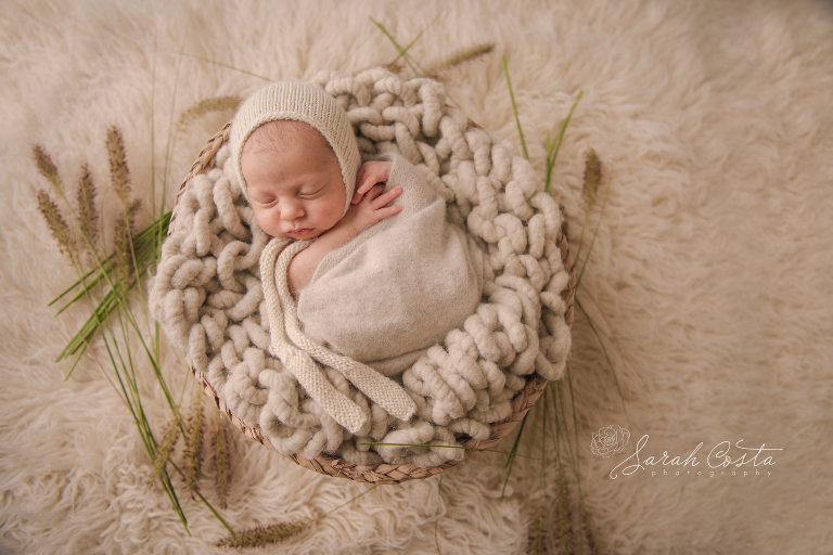 portland oregon newborn baby photos.jpg