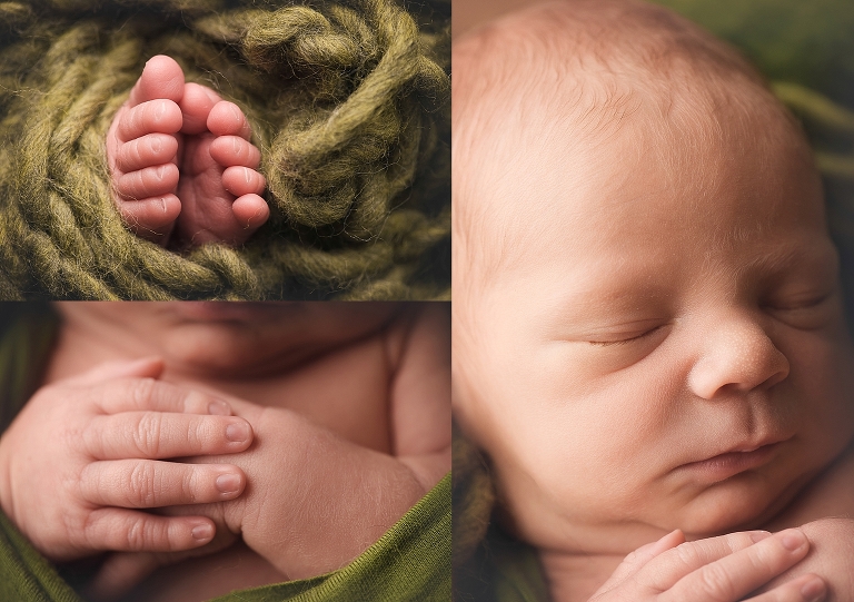 newborn macro photography.jpg