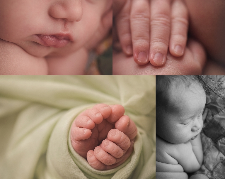 portland newborn photographer.jpg