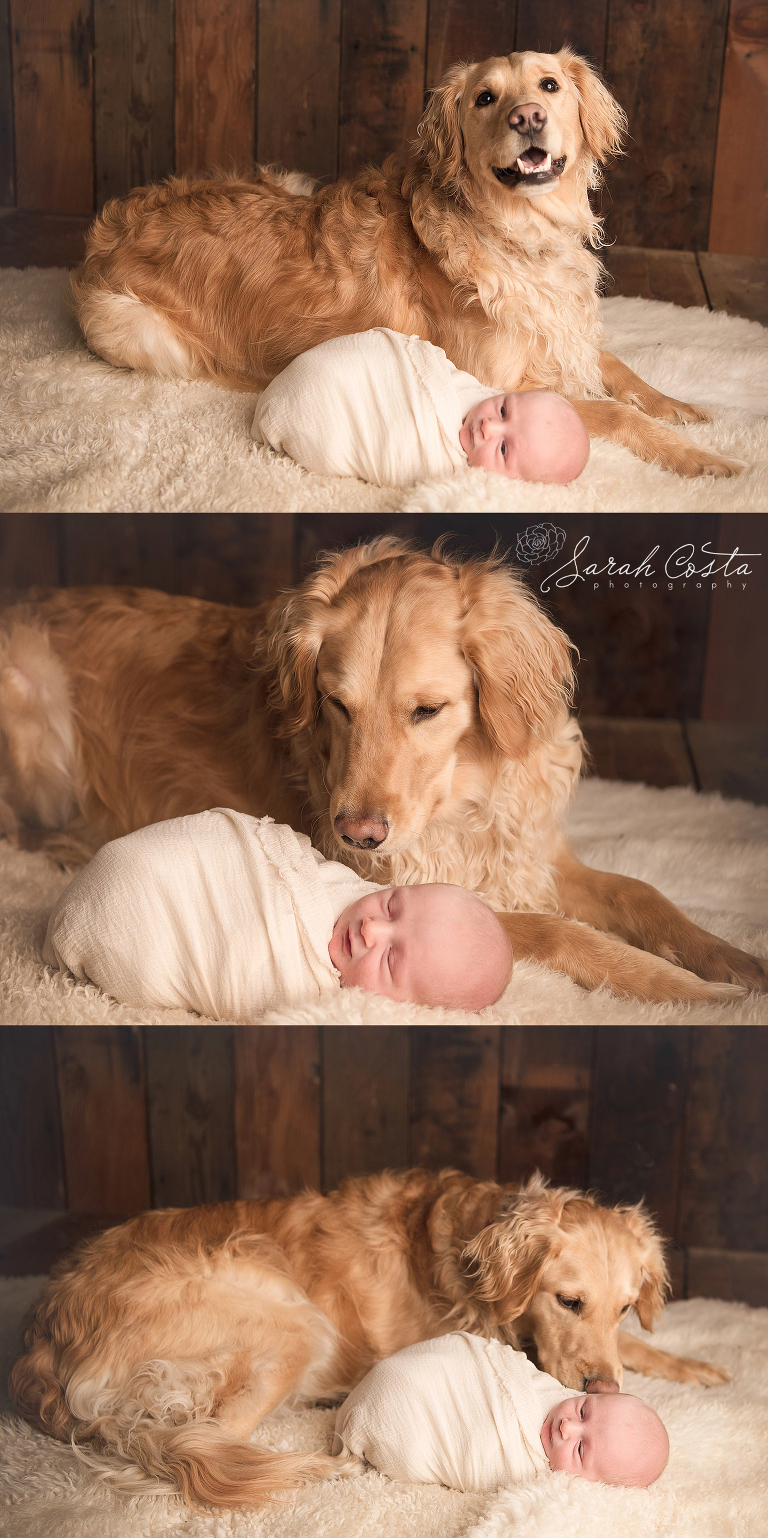 newborn with dog.jpg