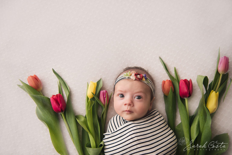 best newborn photographer vancouver wa.jpg