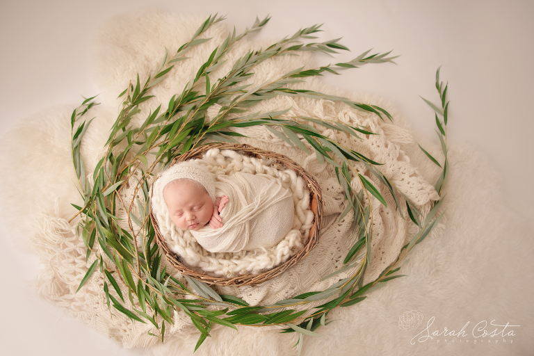 pacific northwest newborn photographer.jpg