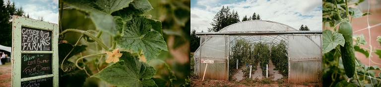 Ridgefield Wa photographer